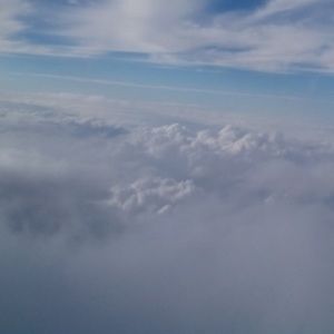 Meet your Posher, Gene